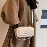 Sac Tendance Et Haut De Gamme Petit Carré